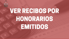 ver recibos por honorarios emitidos