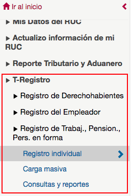 menu-T-Registro