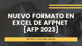 formato excel AFPNET
