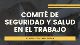 Comite Seguridad y Salud Trabajo