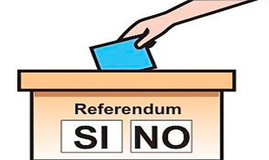 Ejemplo de Referendum