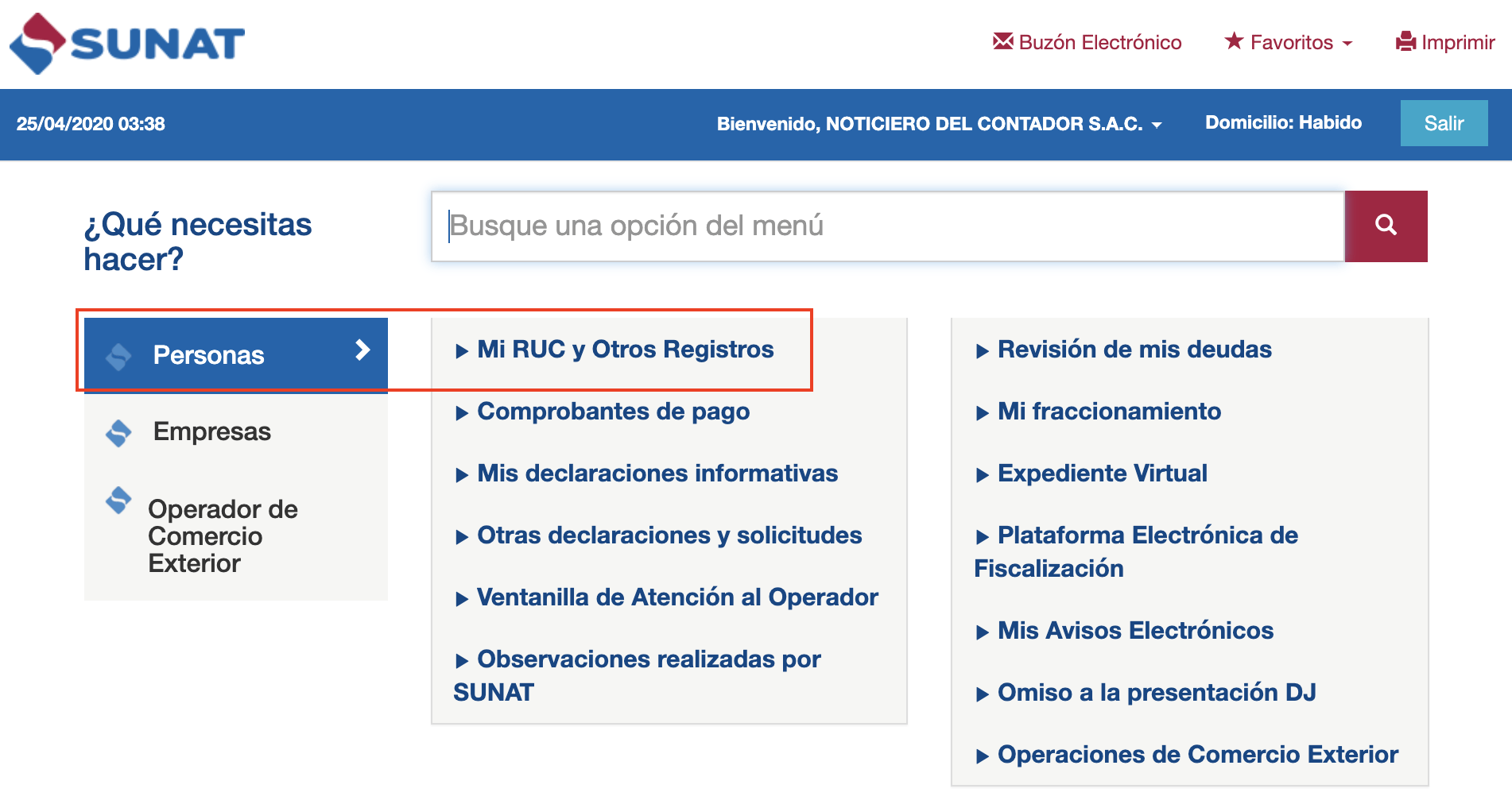 Mi Ruc y Otros Registros