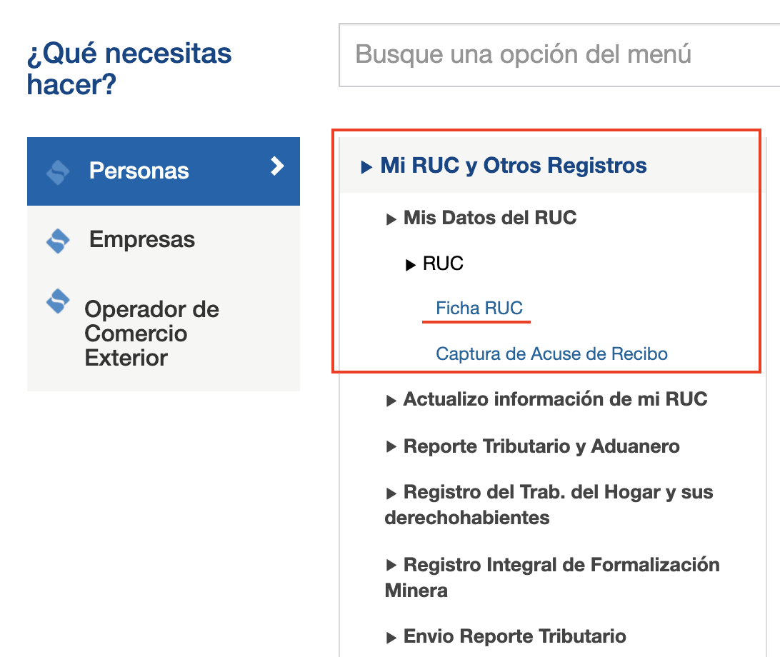 Mis datos del RUC