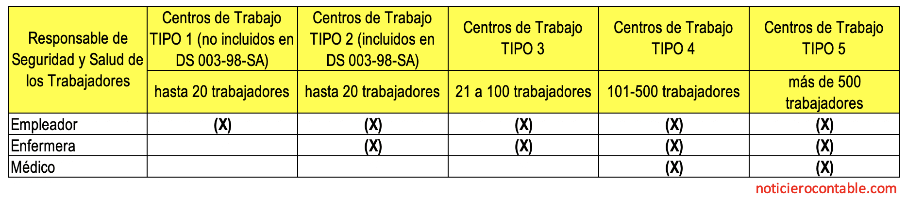 Profesional de Salud del Servicio de Seguridad y Salud en el Trabajo
